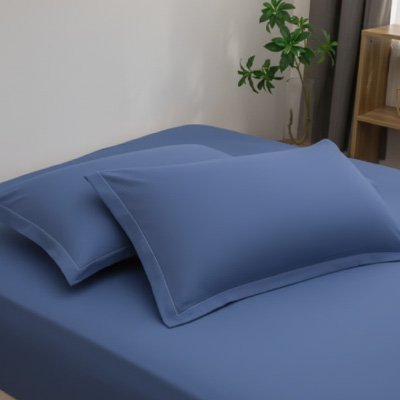 Taie d'oreiller | Premium Ultra - Doux - Chambre Élégante